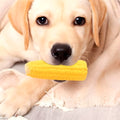 Jouet épi de maïs qui couine pour chiot