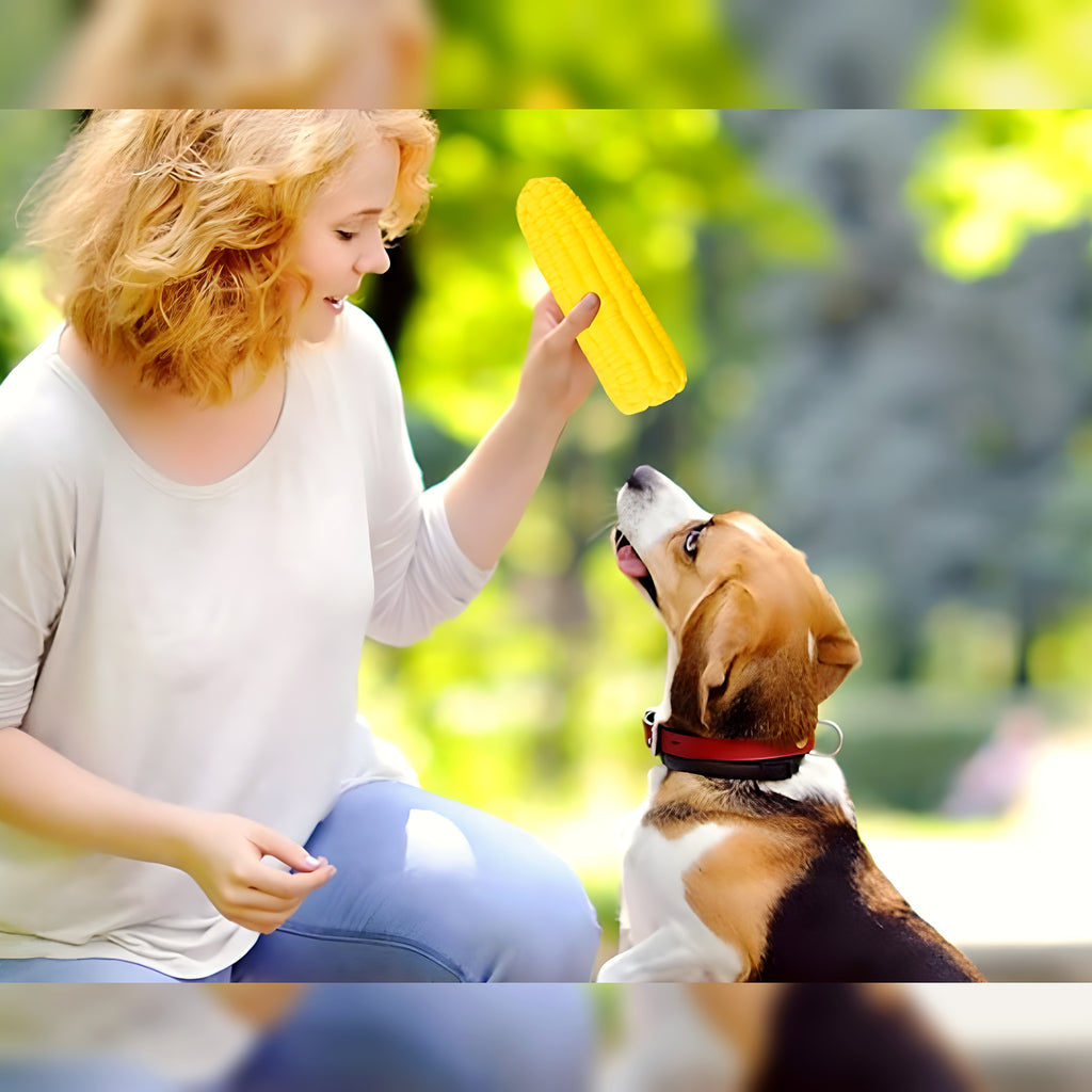 Jouet épi de maïs qui couine pour chiot