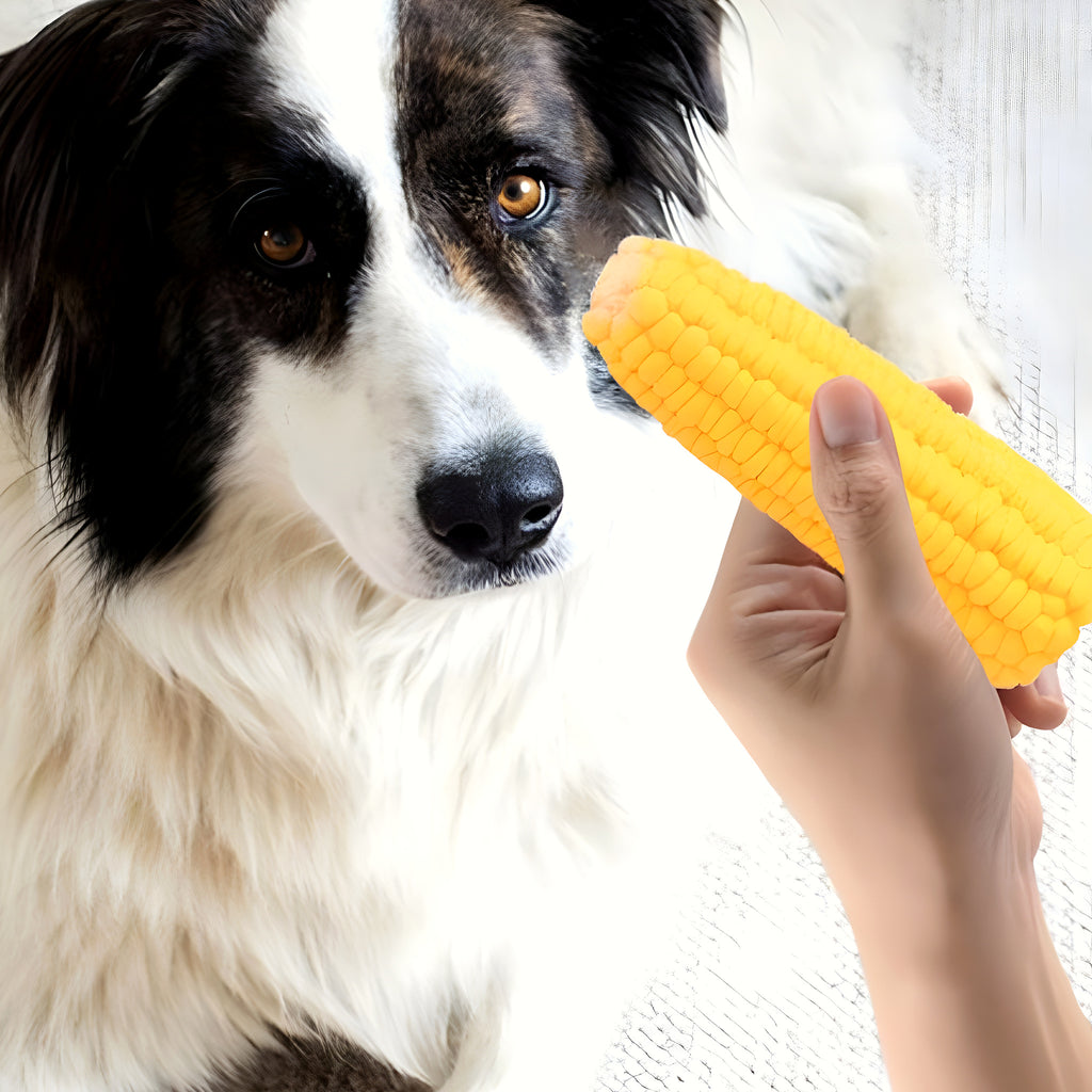 Jouet épi de maïs qui couine pour chiot