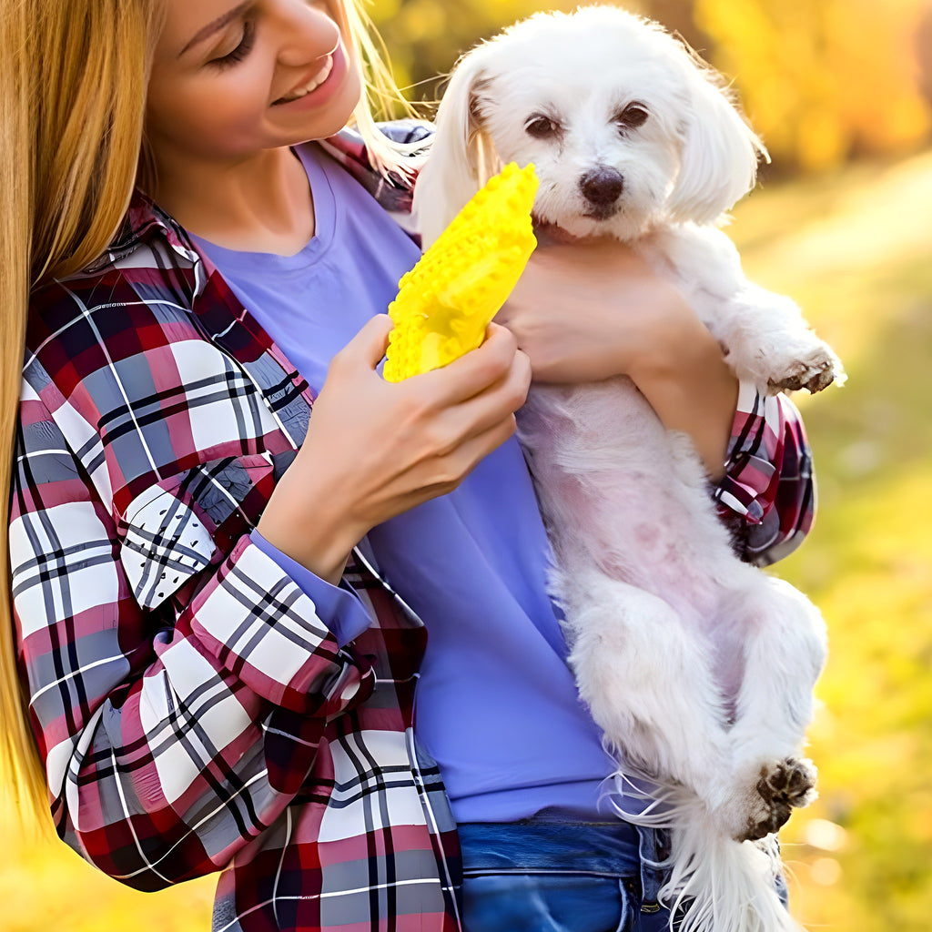 Jouet étoile en caoutchouc naturel qui couine pour chien