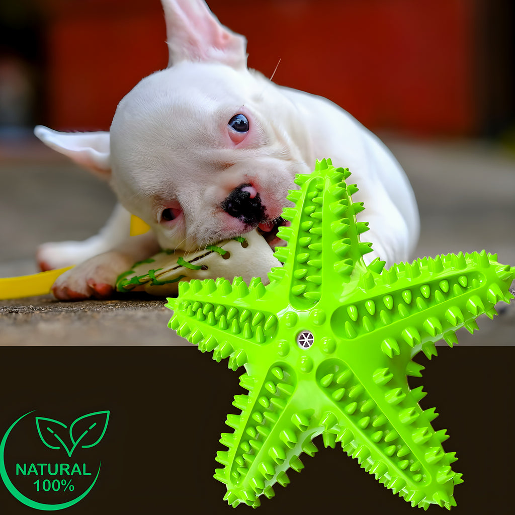 Jouet étoile en caoutchouc naturel qui couine pour chien