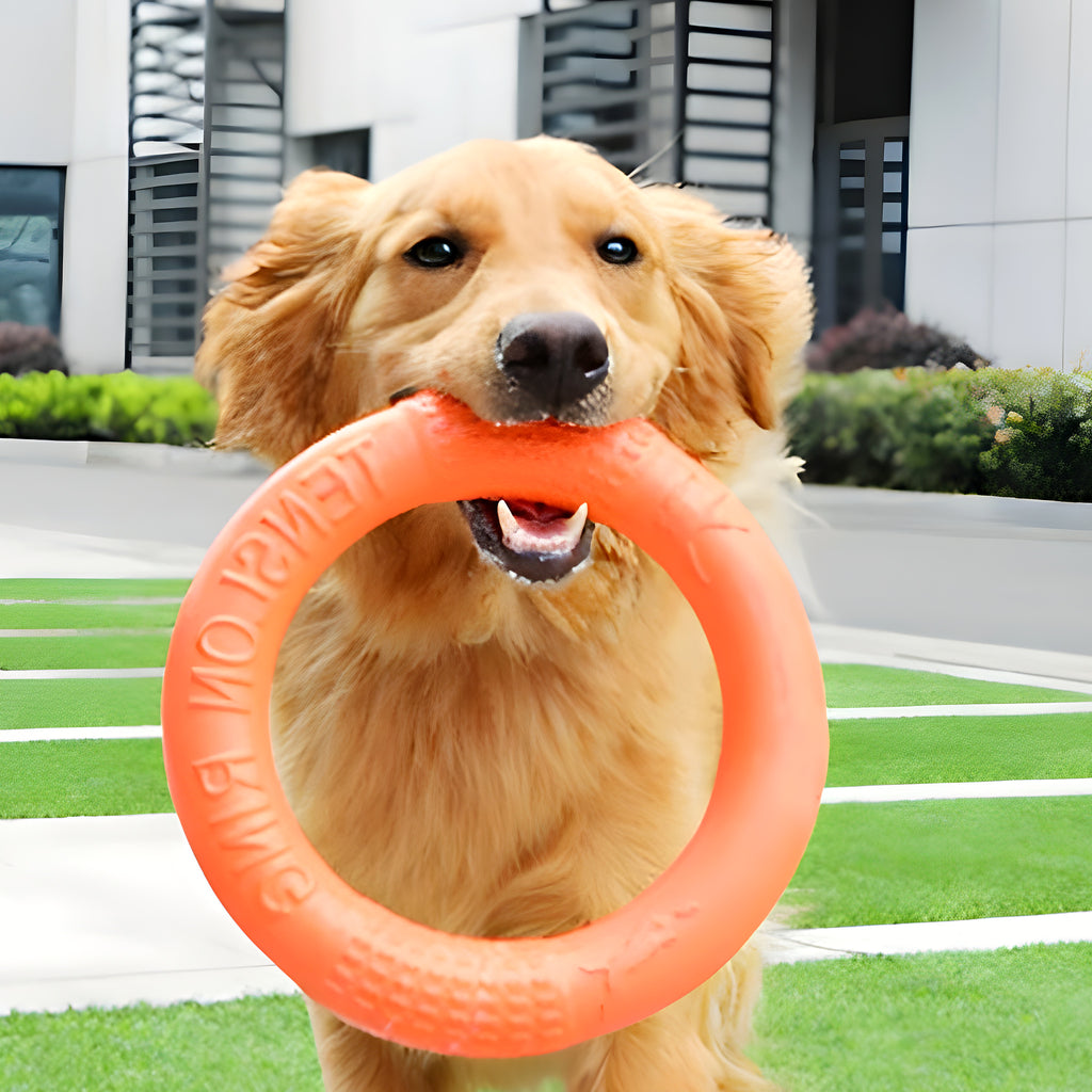 Jouet flottant en caoutchouc pour chien, 2 tailles