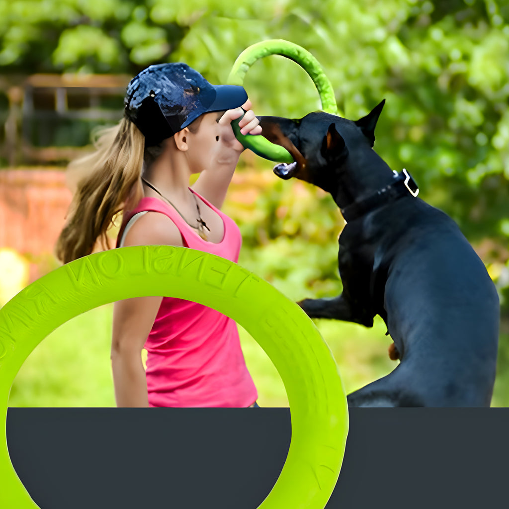 Jouet flottant en caoutchouc pour chien, 2 tailles