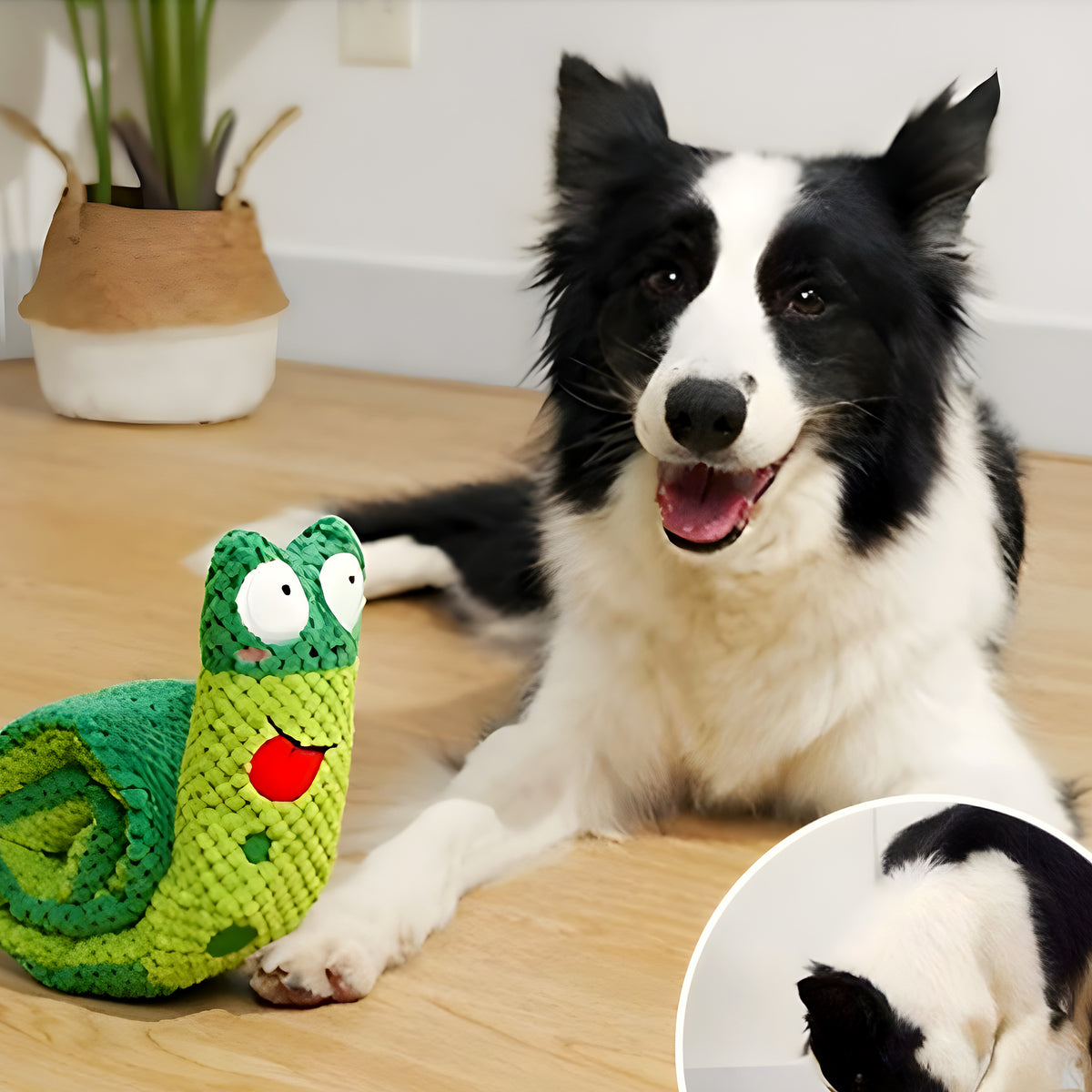 Jouet grenouille 3 en 1 en coton pour chien