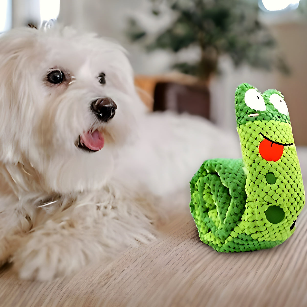 Jouet grenouille 3 en 1 en coton pour chien