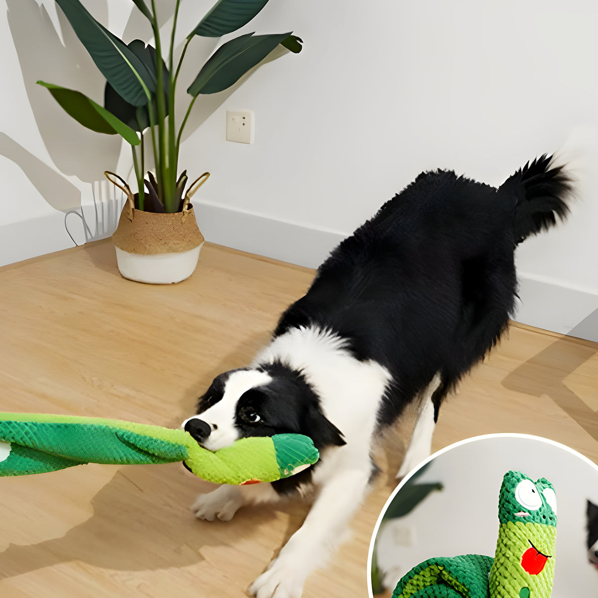 Jouet grenouille 3 en 1 en coton pour chien