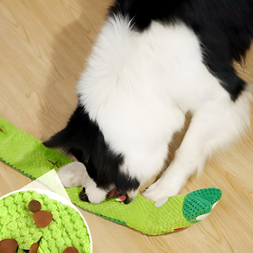 Jouet grenouille 3 en 1 en coton pour chien