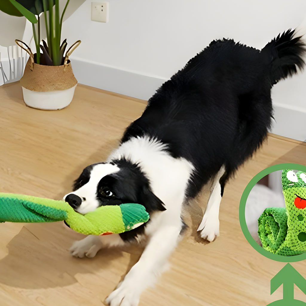 Jouet grenouille 3 en 1 en coton pour chien