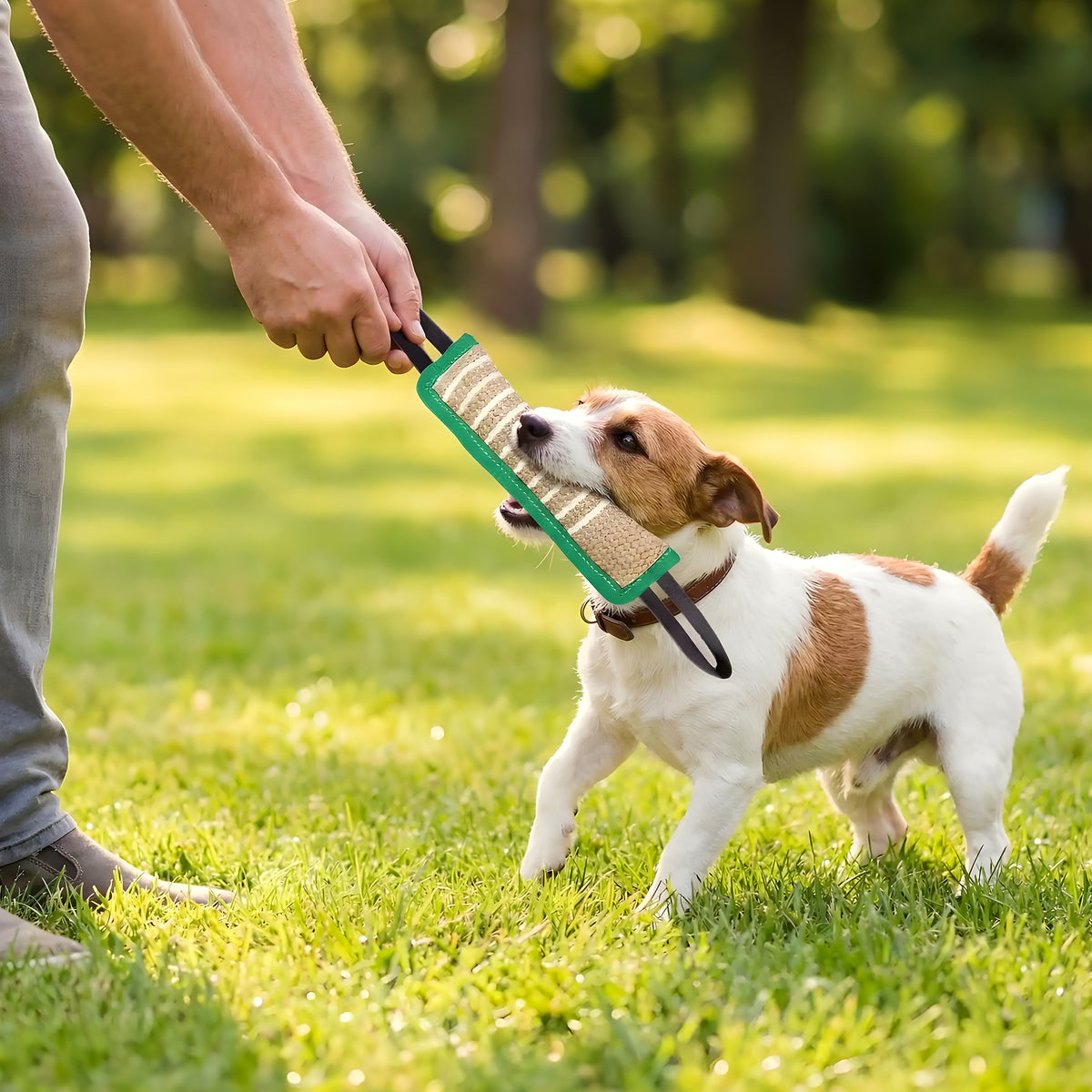 Jouet indestructible interactif en coton et lin pour chien