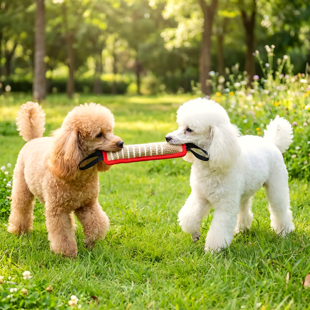Jouet indestructible interactif en coton et lin pour chien