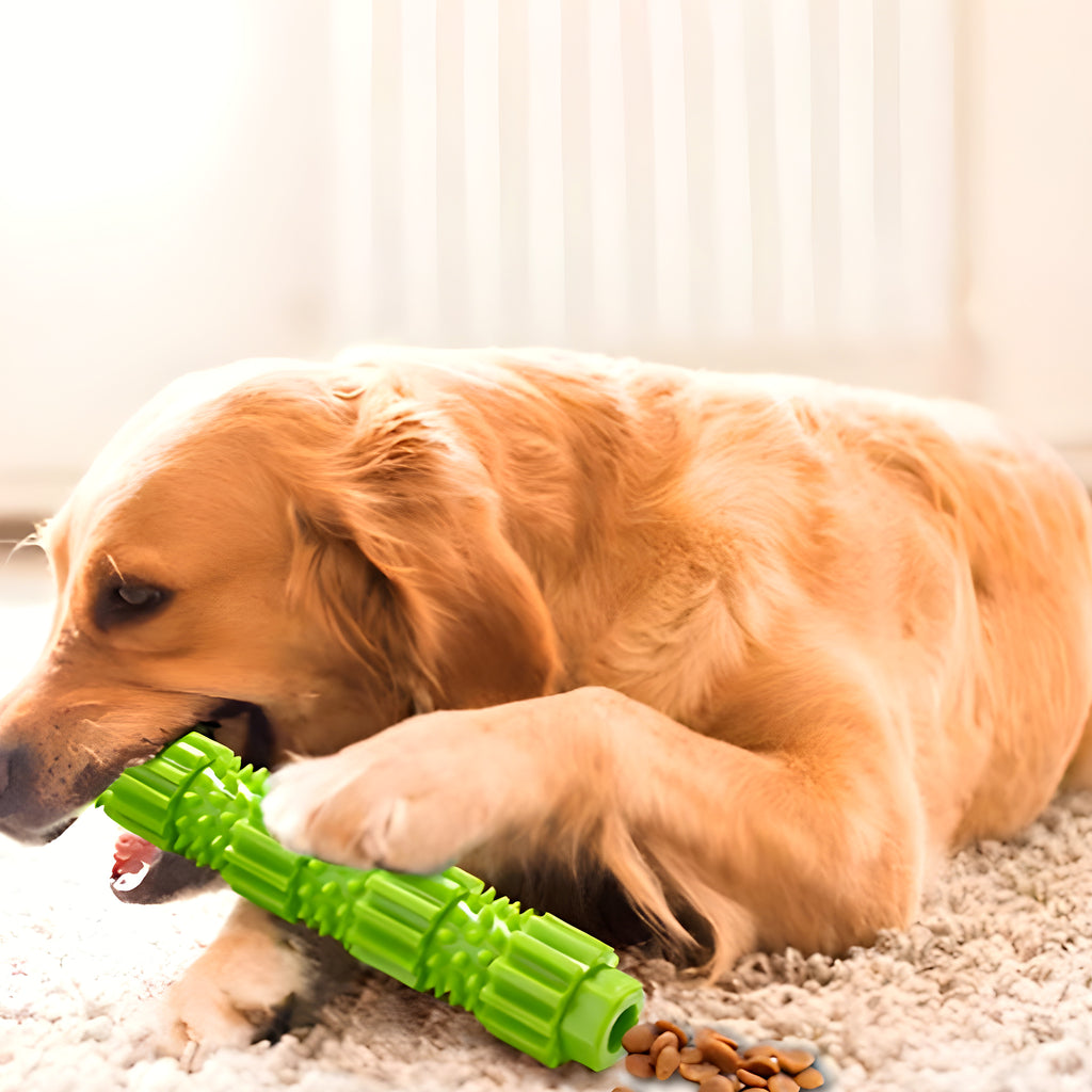 Jouet spirale à mâcher en caoutchouc pour chiot et chien