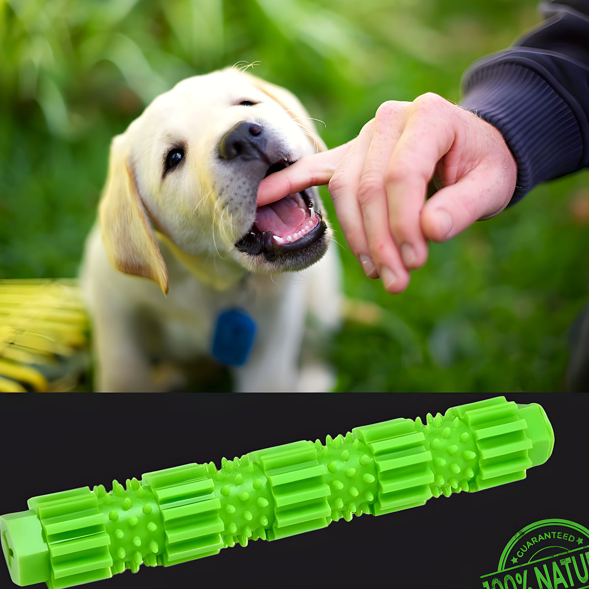 Jouet spirale à mâcher en caoutchouc pour chiot et chien