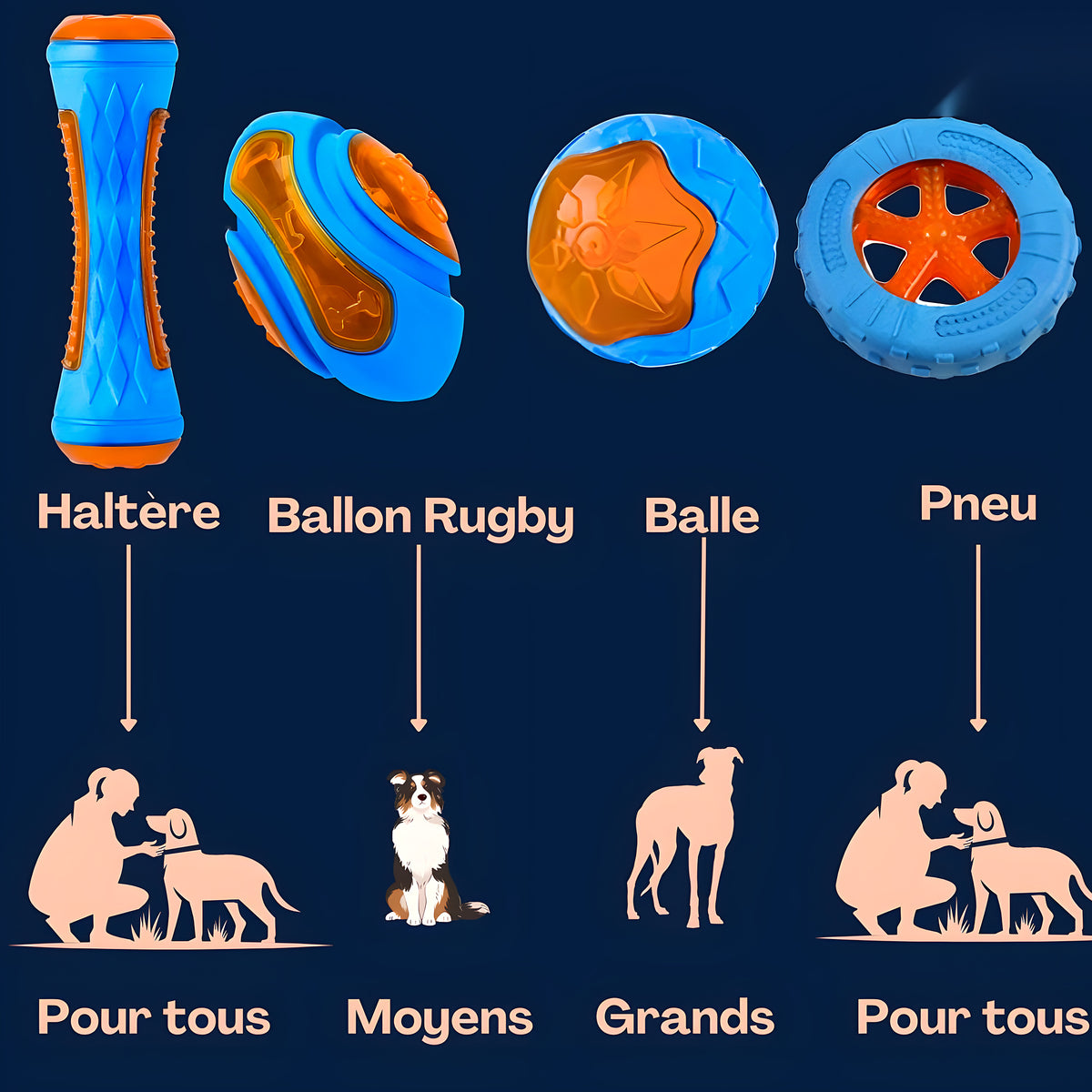Jouet sport flottant pour chien : rugby, haltère, balle ou pneu