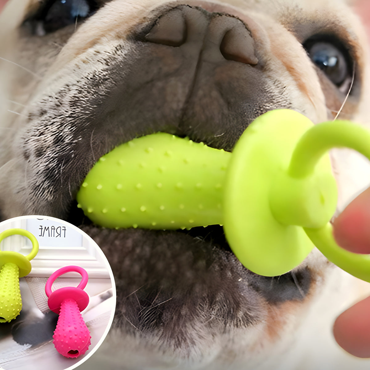 Jouets de dentition en caoutchouc pour chiot, lot de 3 ou 4