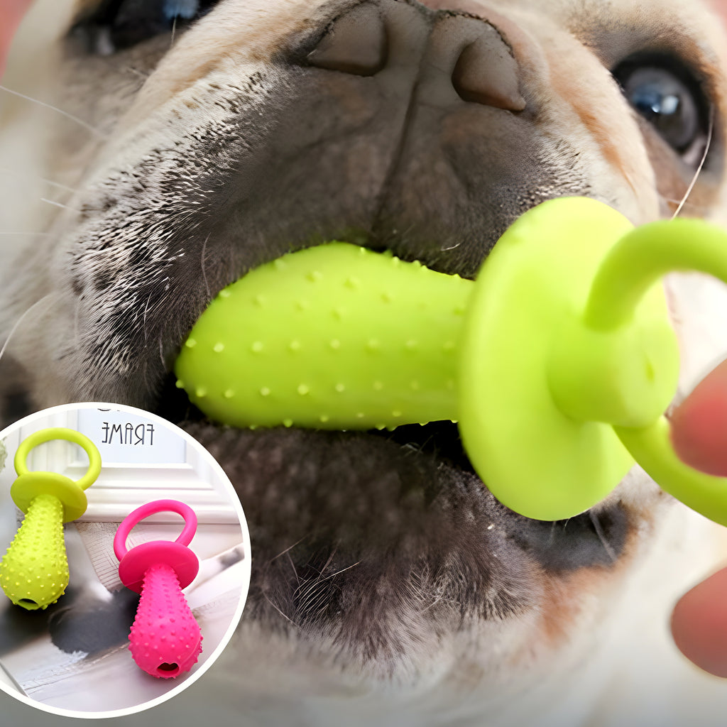 Jouets de dentition en caoutchouc pour chiot, lot de 3 ou 4