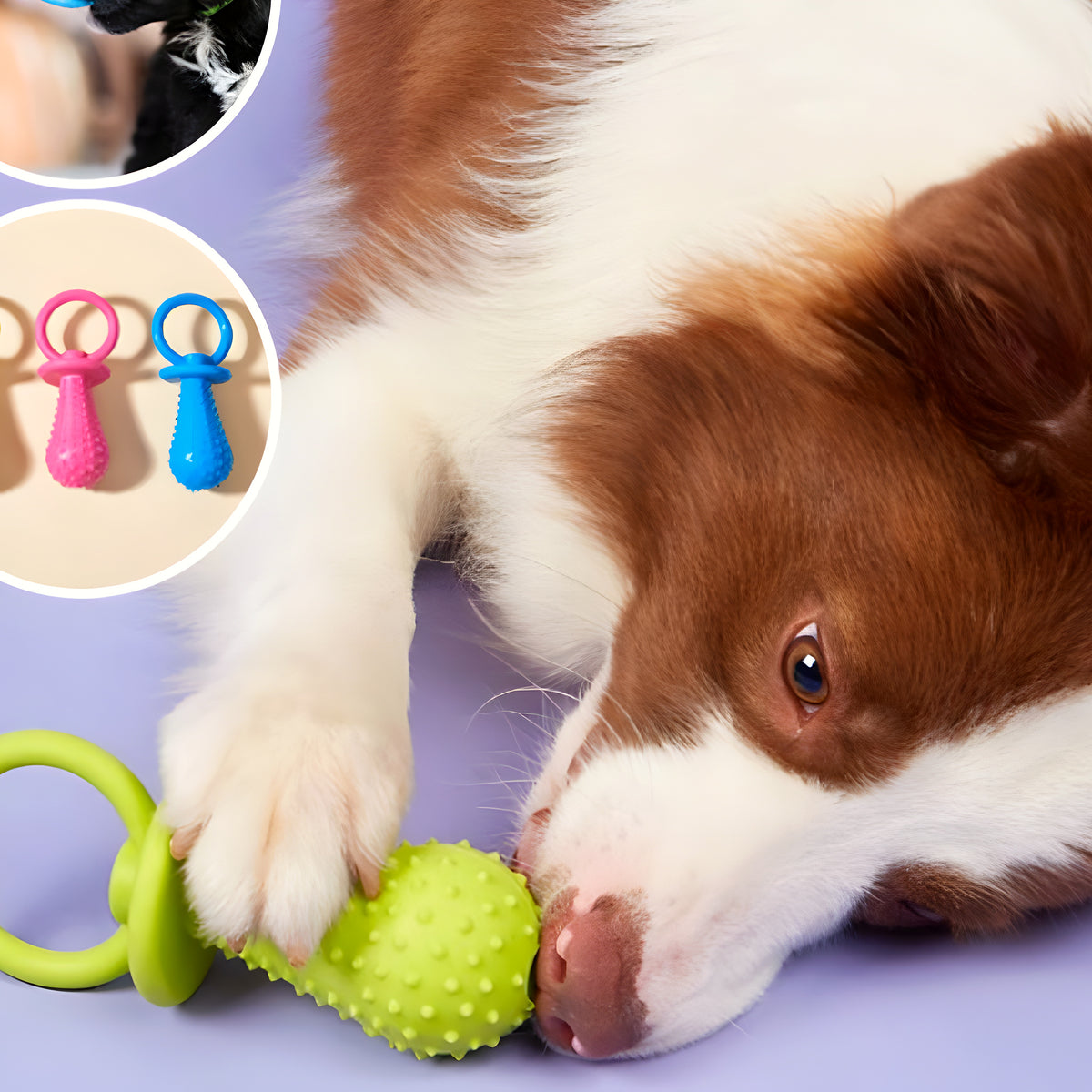 Jouets de dentition en caoutchouc pour chiot, lot de 3 ou 4