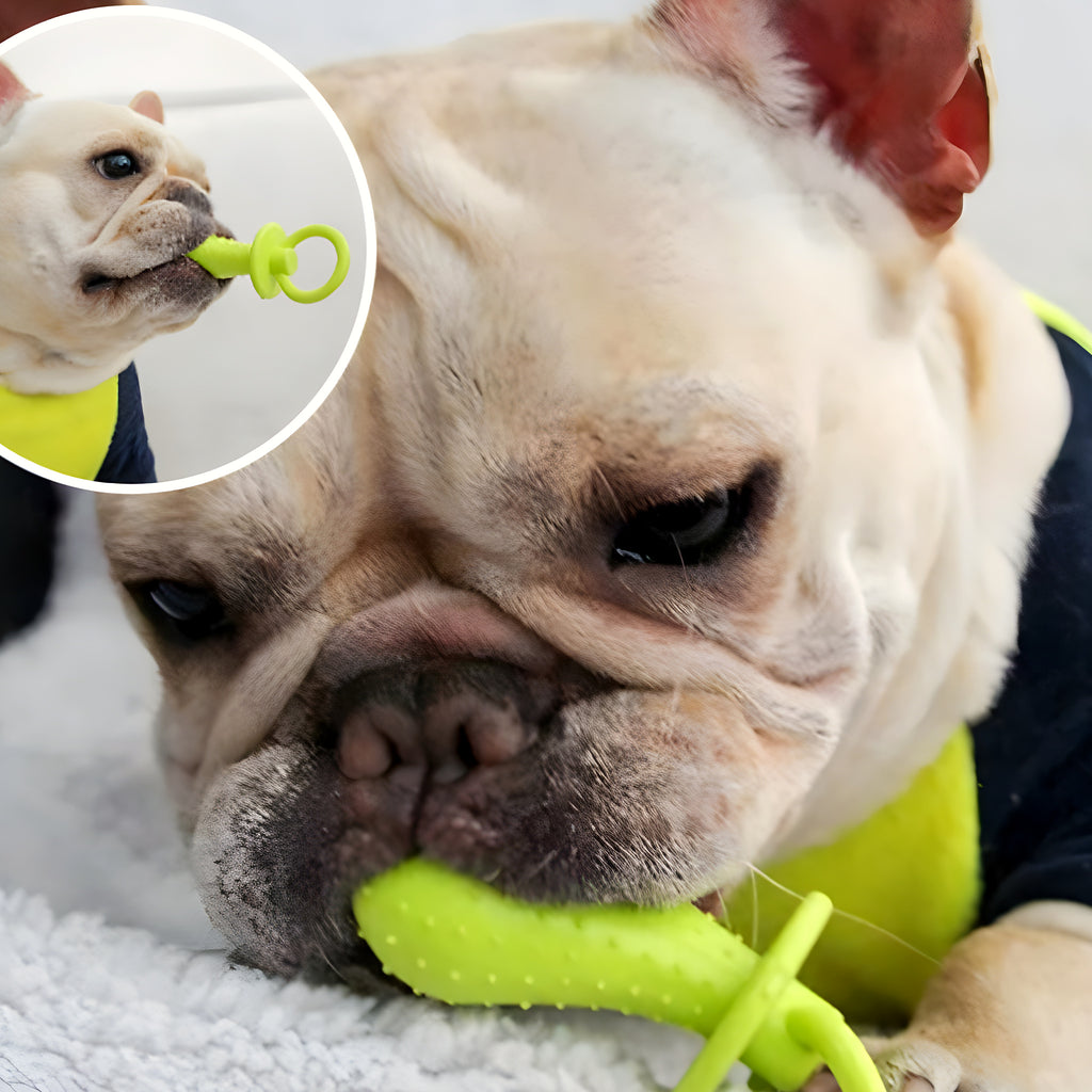 Jouets de dentition en caoutchouc pour chiot, lot de 3 ou 4