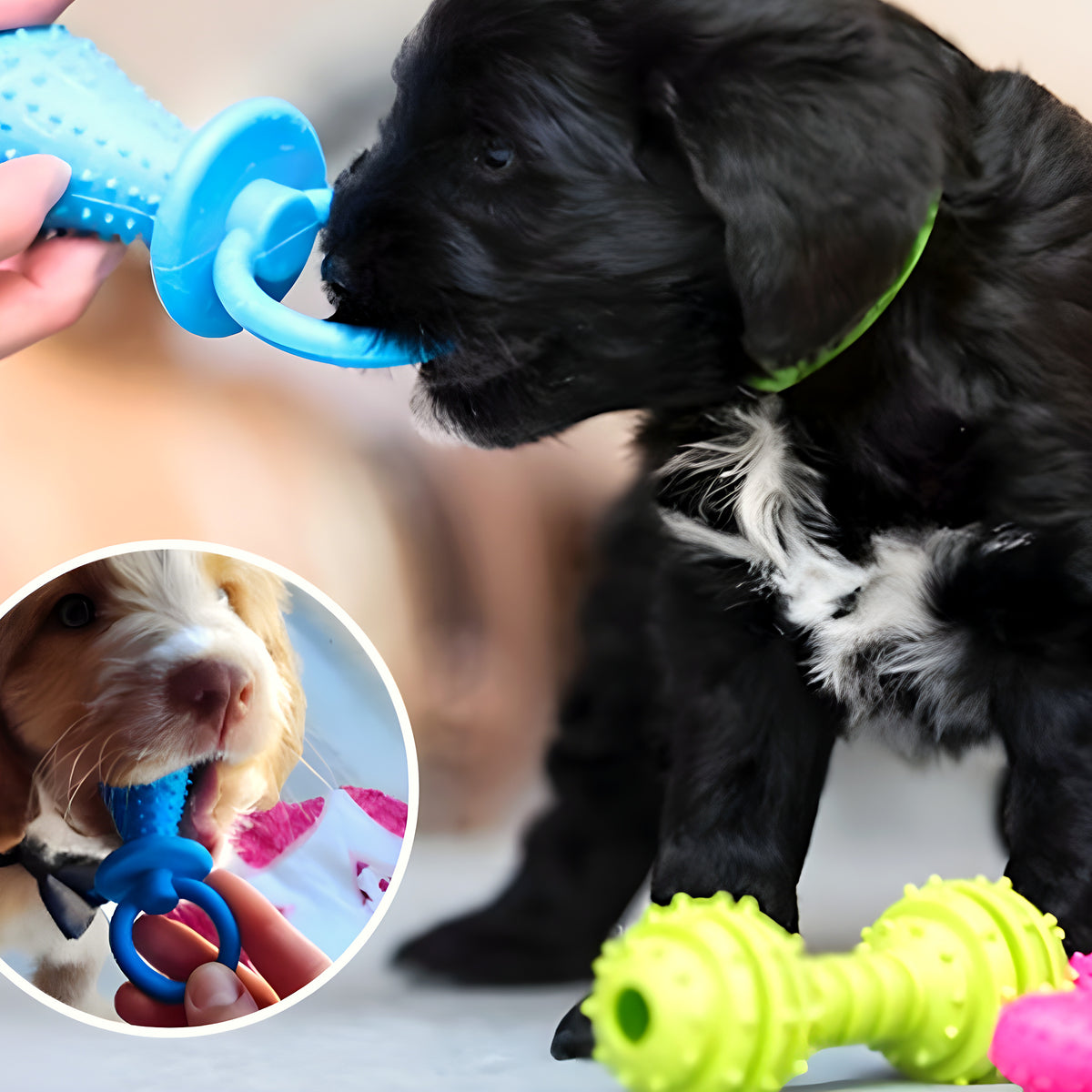 Jouets de dentition en caoutchouc pour chiot, lot de 3 ou 4