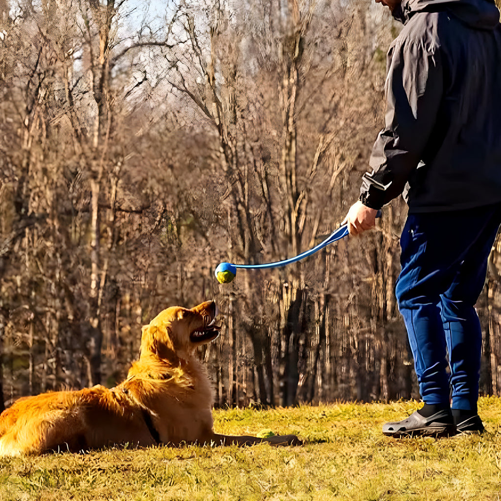 Lanceur de balle 45 cm pour chien, avec balle de tennis