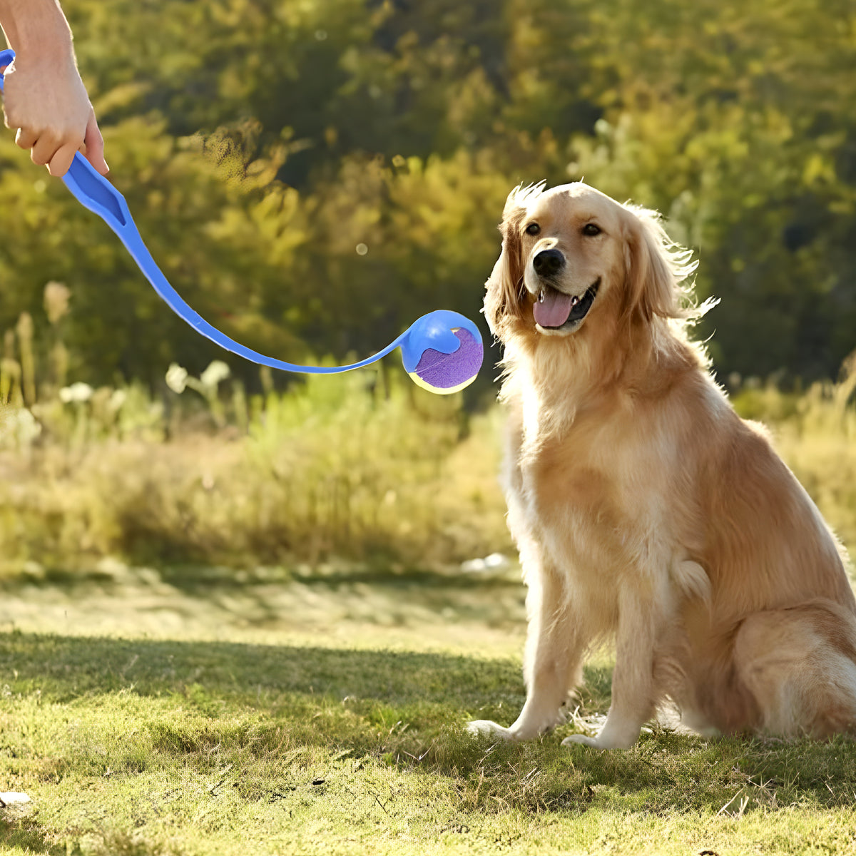 Lanceur de balle 45 cm pour chien, avec balle de tennis