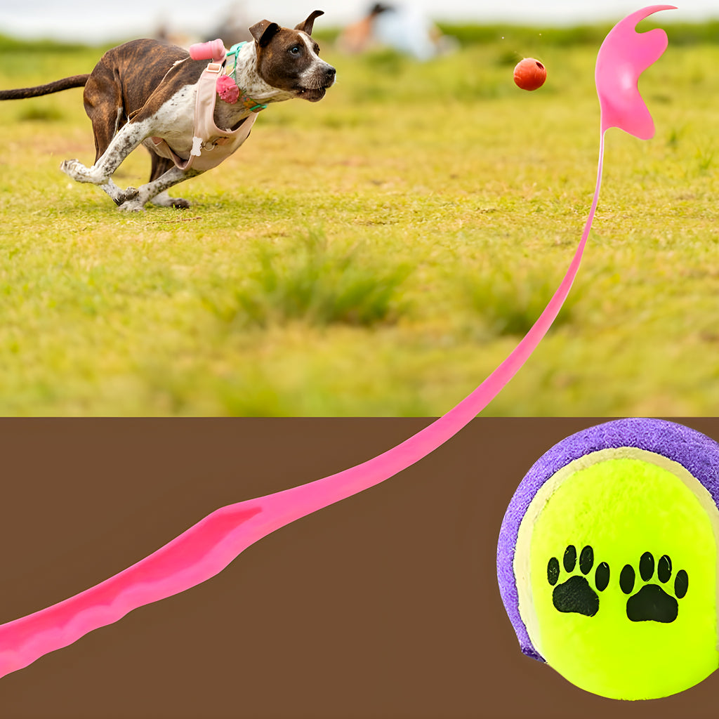 Lanceur de balle 45 cm pour chien, avec balle de tennis