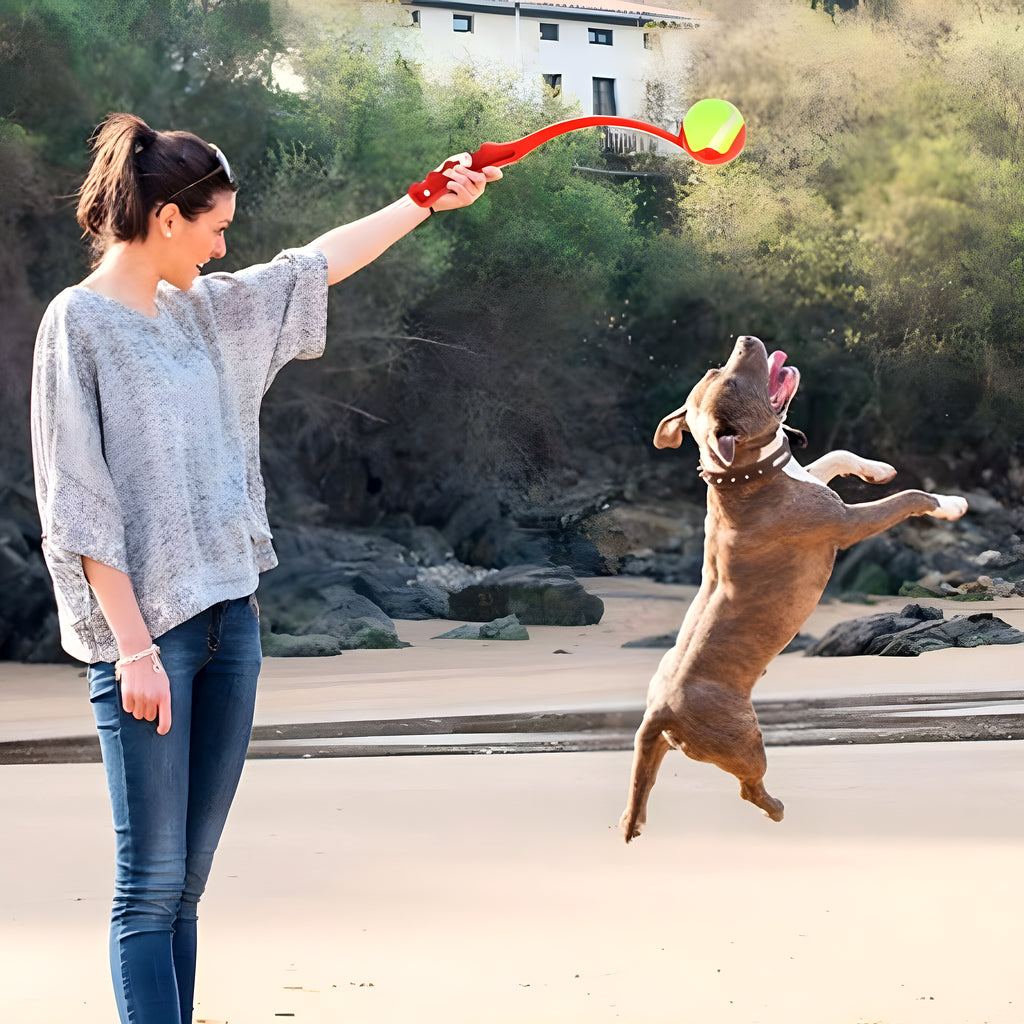 Lanceur de balle pour chien, avec ou sans balle