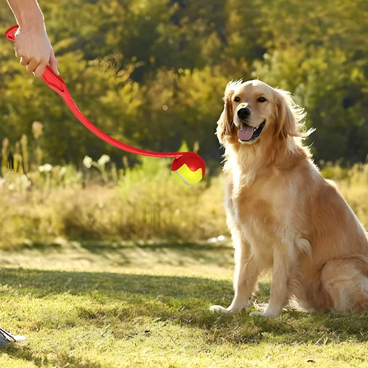 Lanceur de balle pour chien, avec ou sans balle