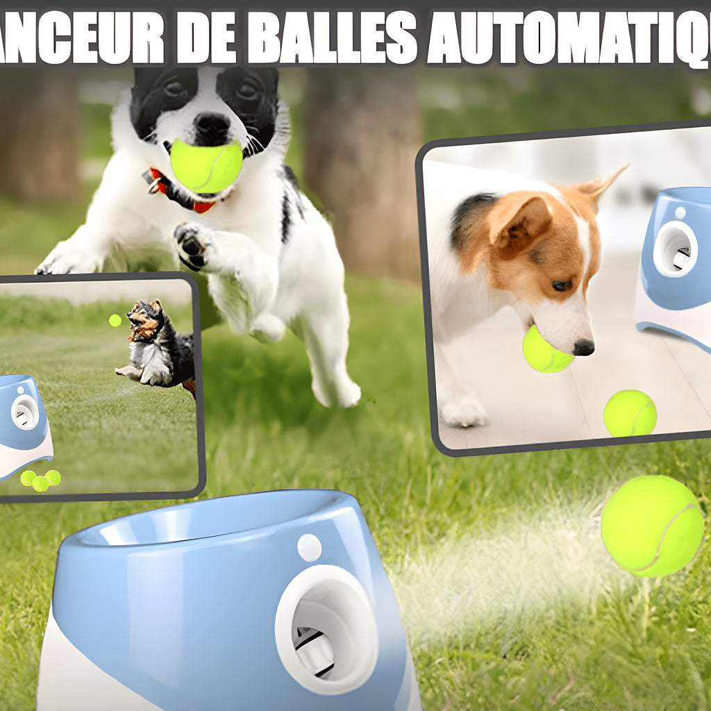Lanceur de balles automatique bleu à batterie rechargeable