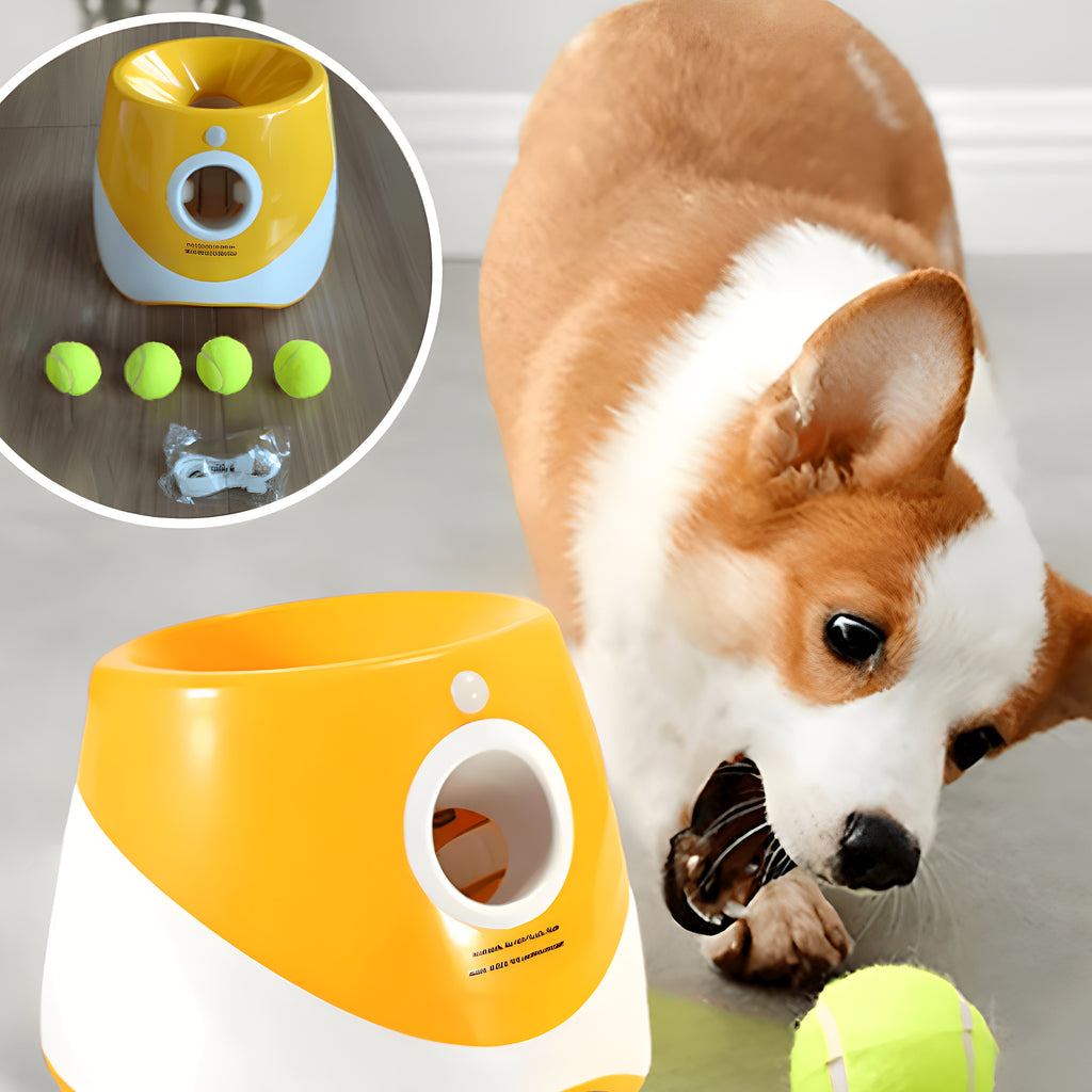 Lanceur de balles automatique orange pour petit chien