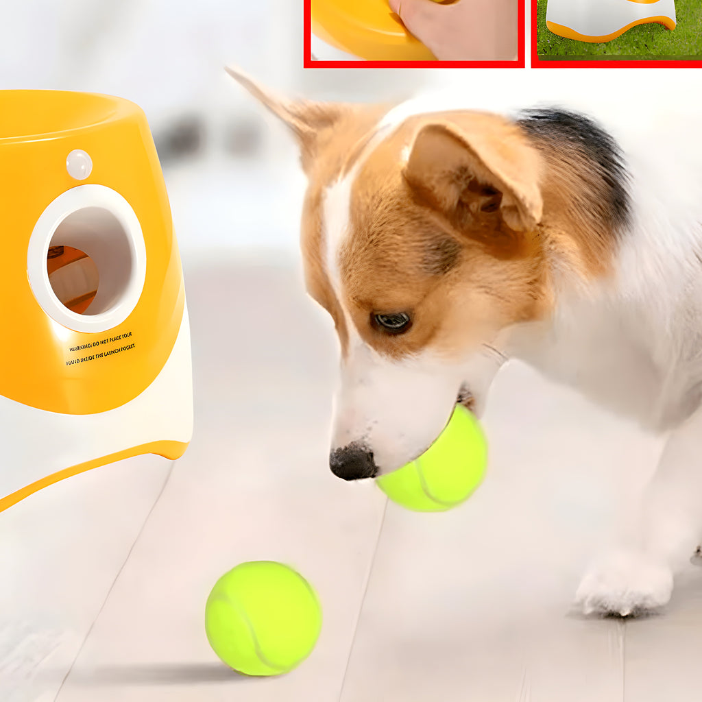 Lanceur de balles automatique orange pour petit chien