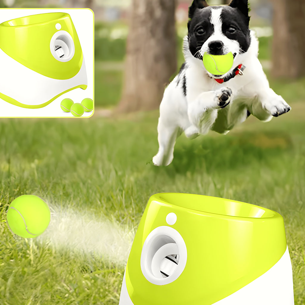 Lanceur de balles automatique vert pour chiot et petit chien