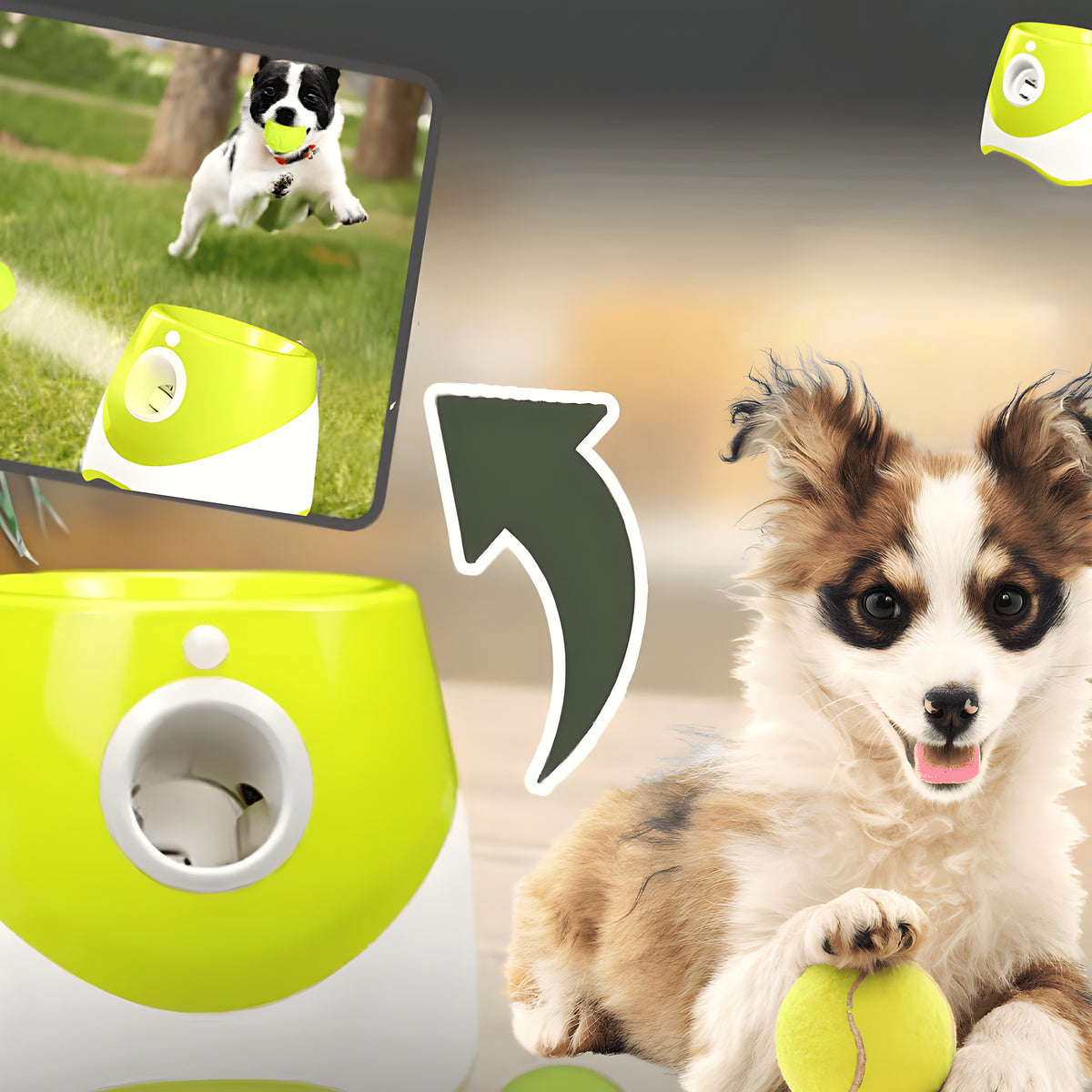 Lanceur de balles automatique vert pour chiot et petit chien