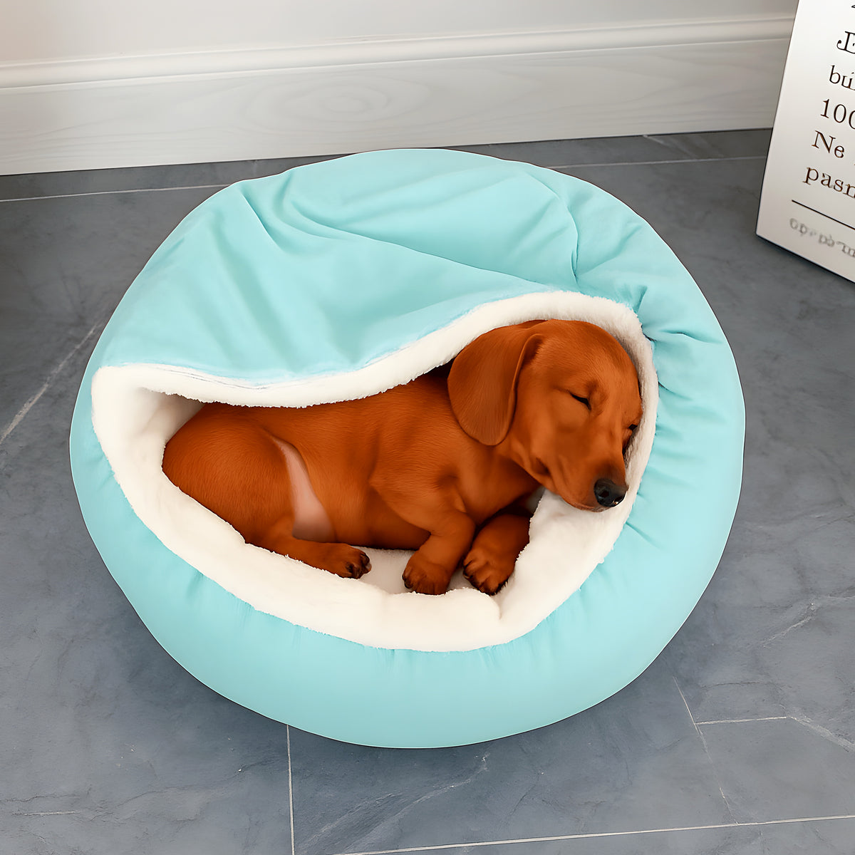 Lit beignet avec couverture intégrée pour petit chien