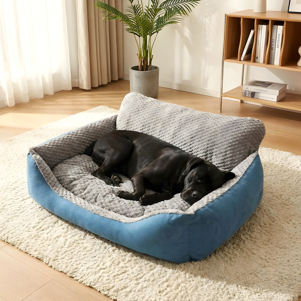 Lit canapé cyan déhoussable pour chien, 4 tailles