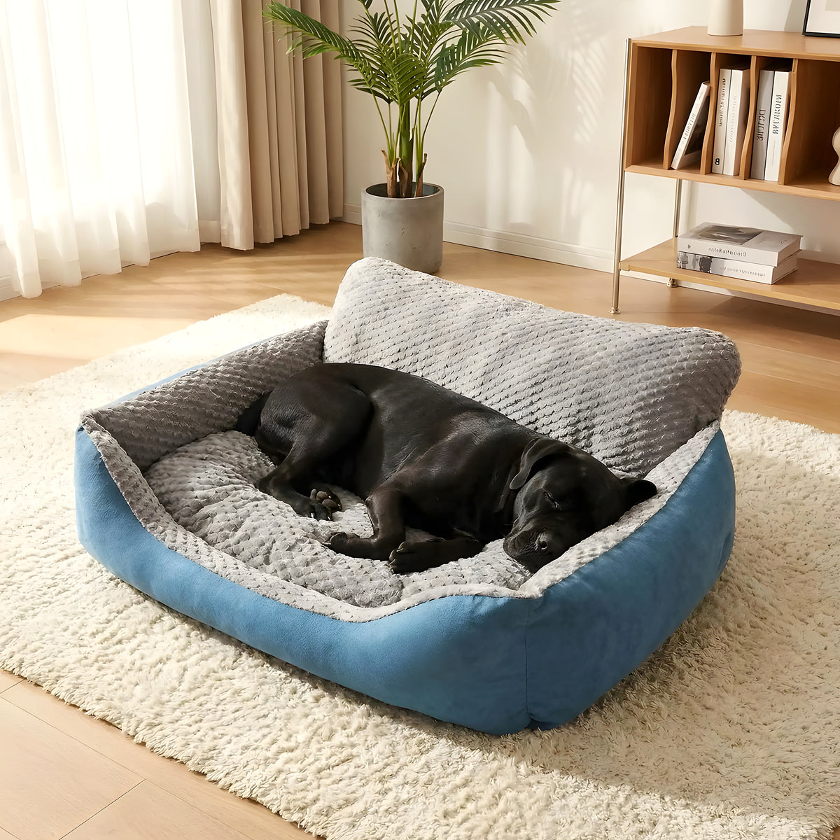 Lit canapé cyan déhoussable pour chien, 4 tailles