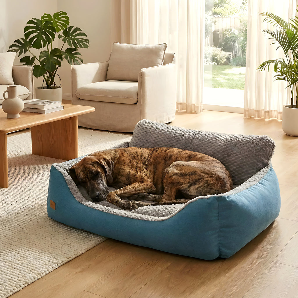 Lit canapé cyan déhoussable pour chien, 4 tailles