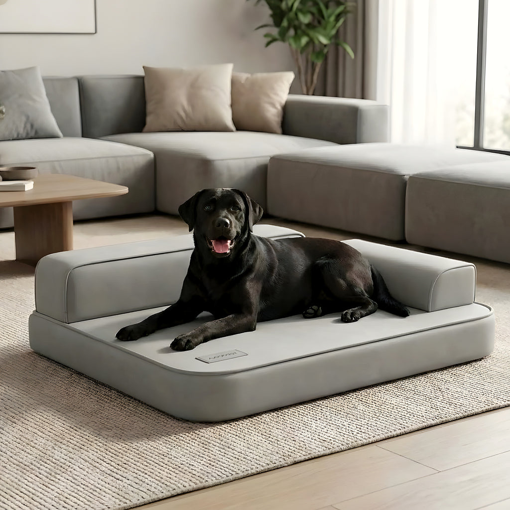 Lit canapé imperméable au design contemporain pour chien
