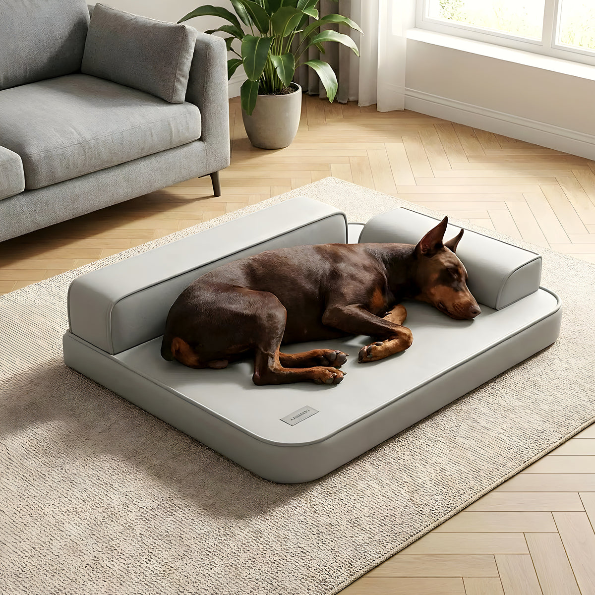 Lit canapé imperméable au design contemporain pour chien