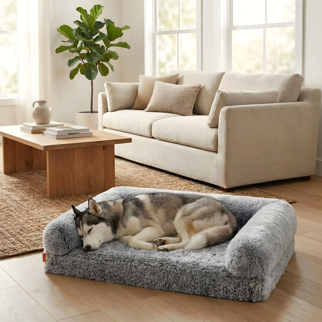 Lit canapé orthopédique XXL avec traversins pour chien