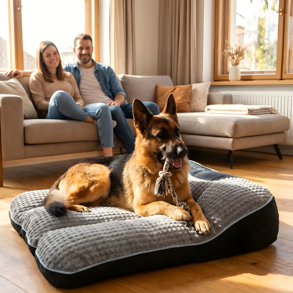 Lit cocon en velours pour chien, 4 tailles