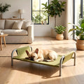 Lit de camp imperméable 90 x 59 cm pour chien