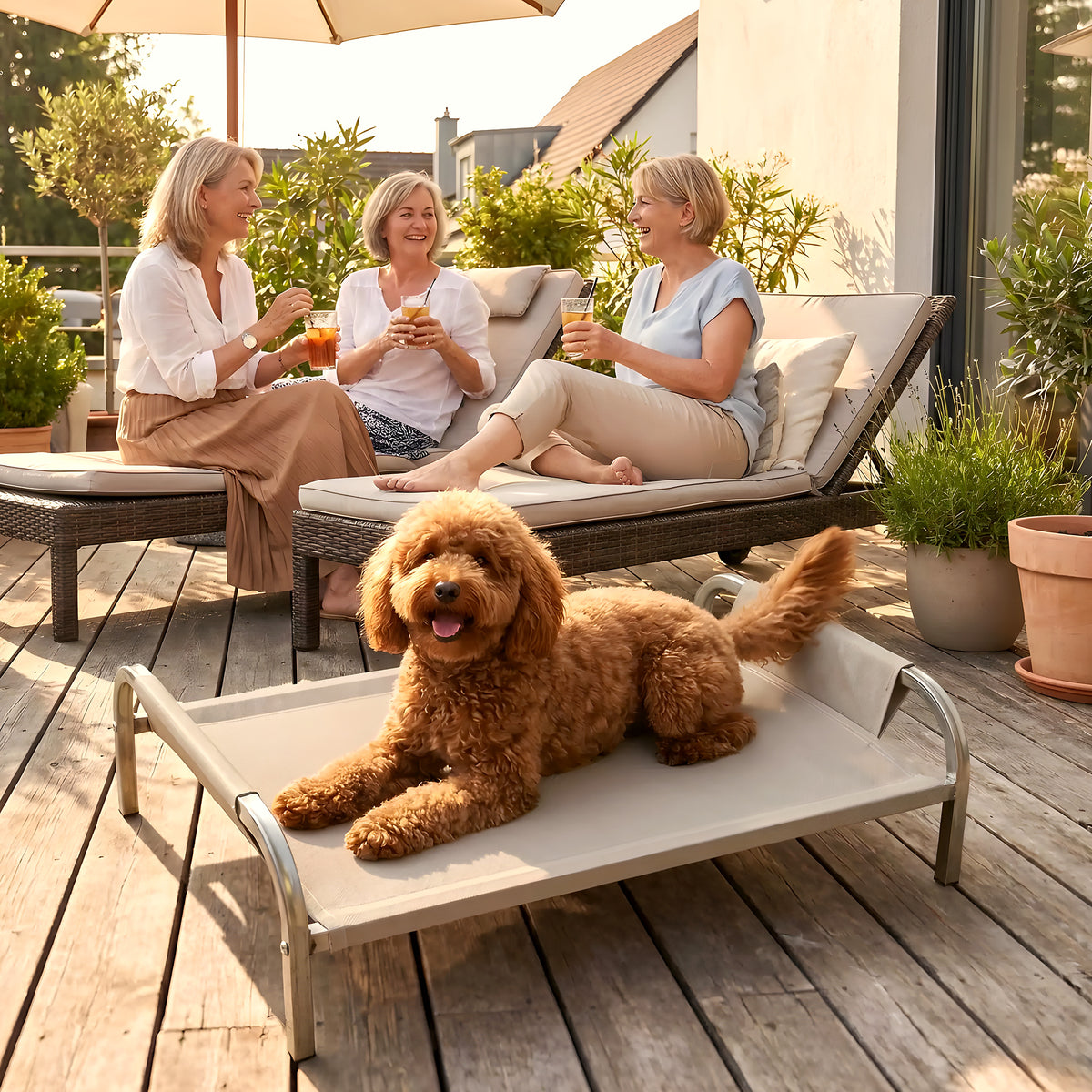 Lit de camp imperméable 90 x 59 cm pour chien