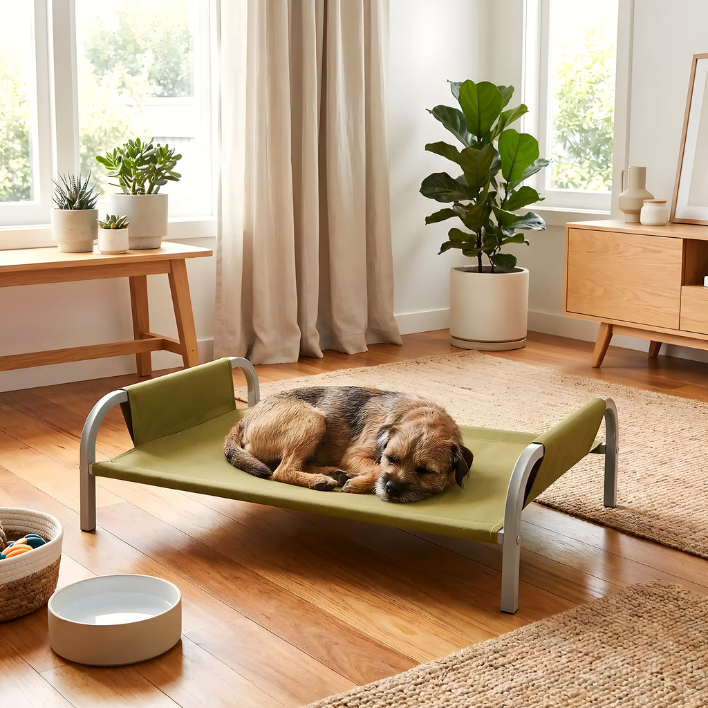 Lit de camp imperméable 90 x 59 cm pour chien