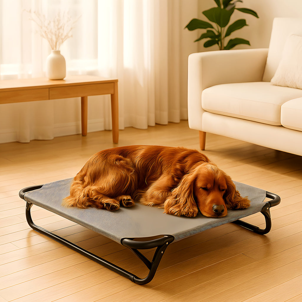 Lit de camp pliable noir ou gris pour chien jusqu'à 20 kg