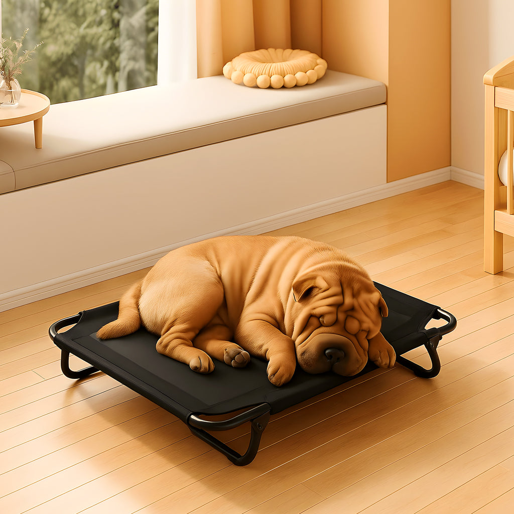 Lit de camp pliable noir ou gris pour chien jusqu'à 20 kg