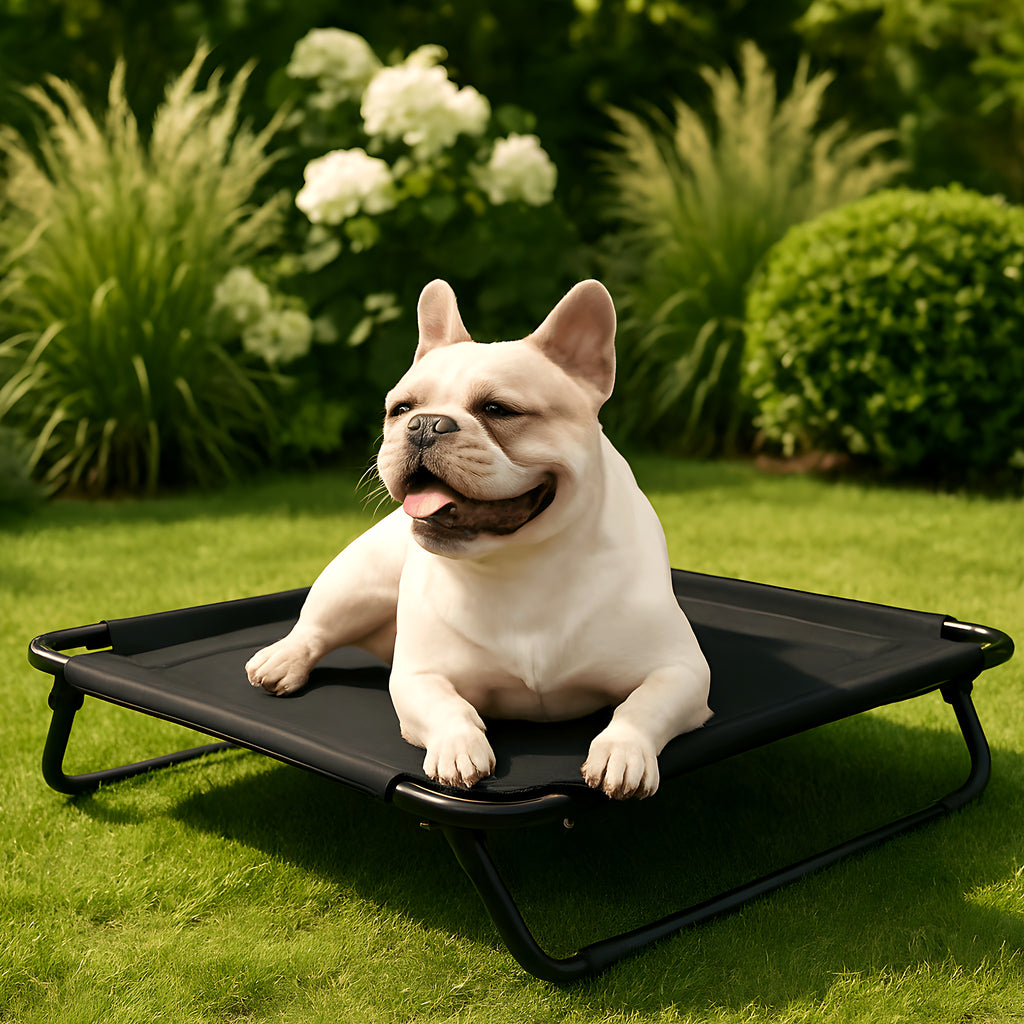 Lit de camp pliable noir ou gris pour chien jusqu'à 20 kg
