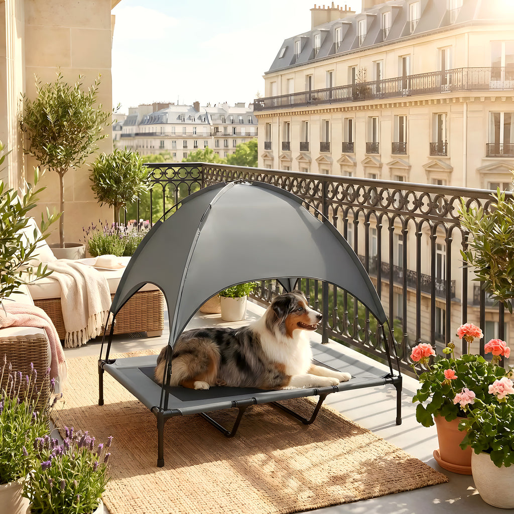 Lit de camp surélevé avec auvent anti-UV pour chien