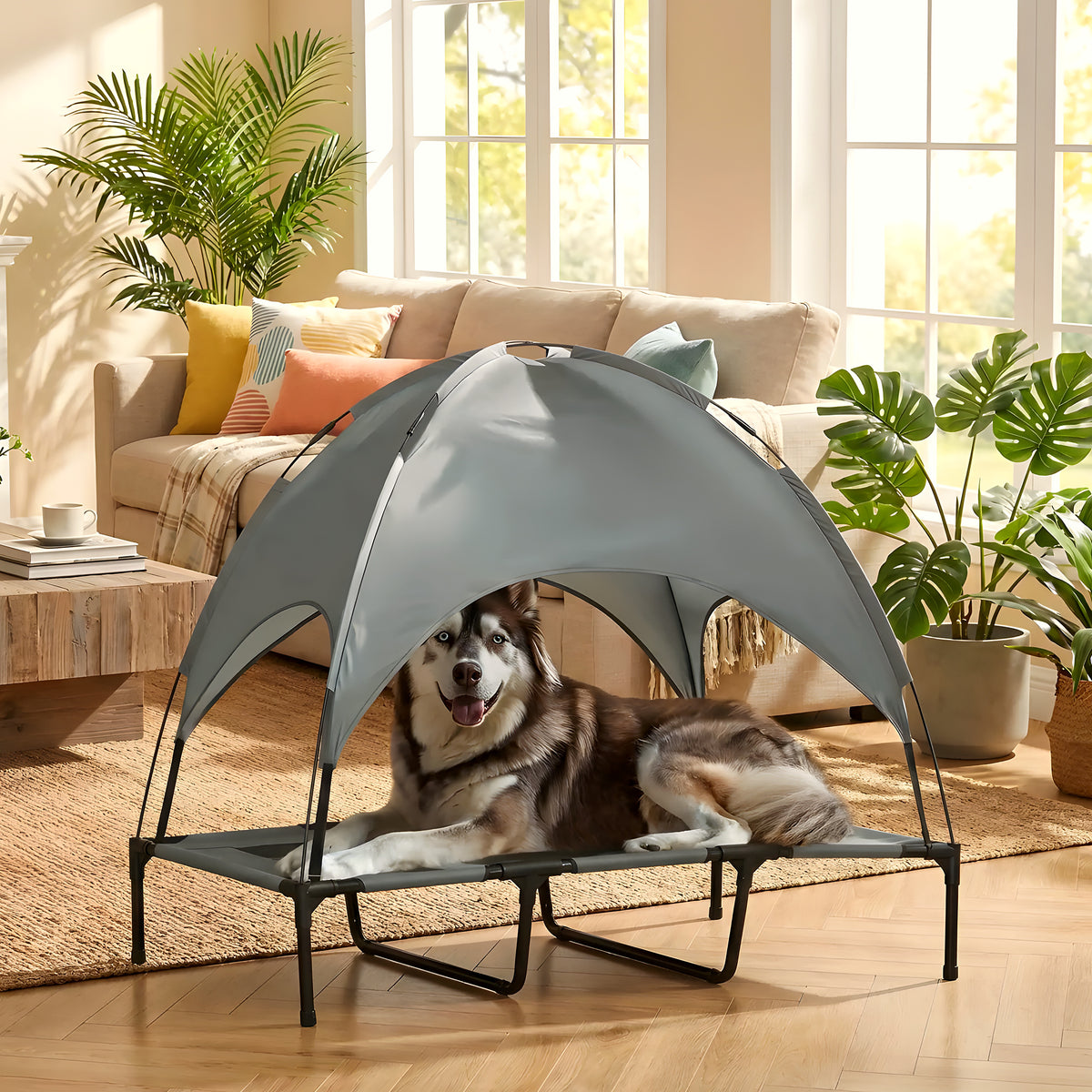 Lit de camp surélevé avec auvent anti-UV pour chien