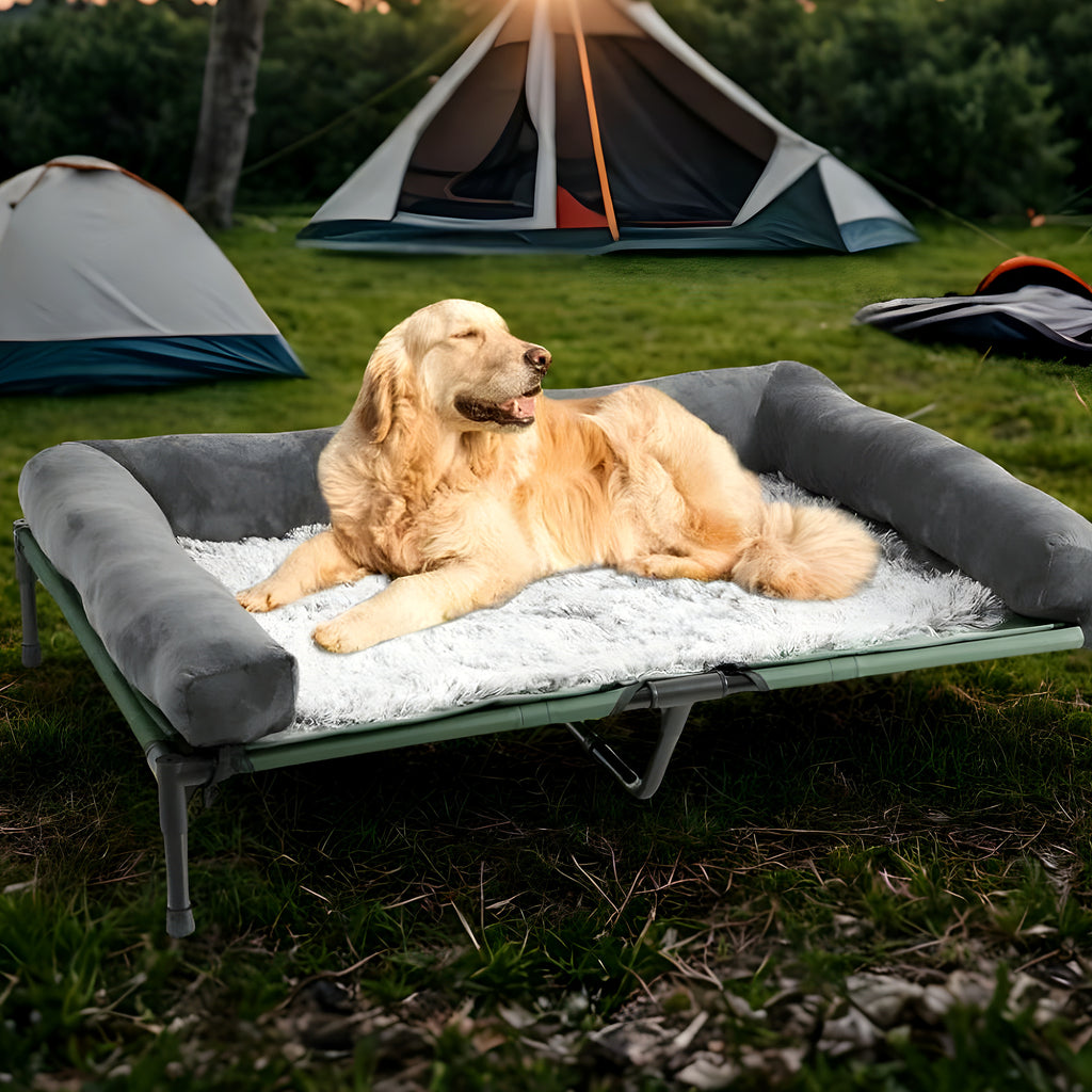 Lit de camp surélevé avec traversin pour chien jusqu'à 20 kg
