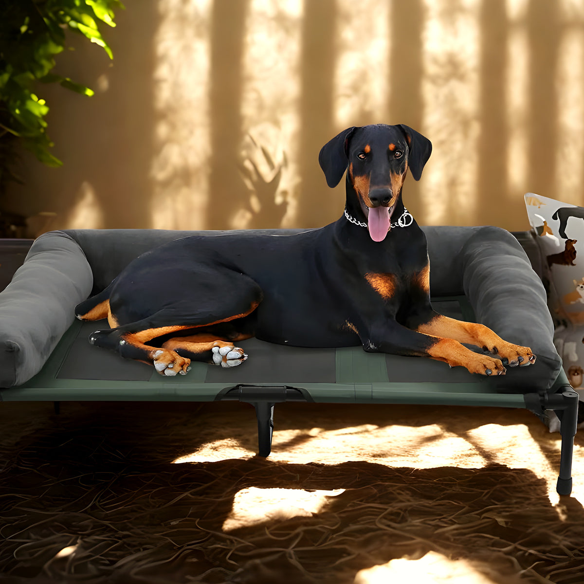Lit de camp surélevé avec traversin pour chien jusqu'à 20 kg